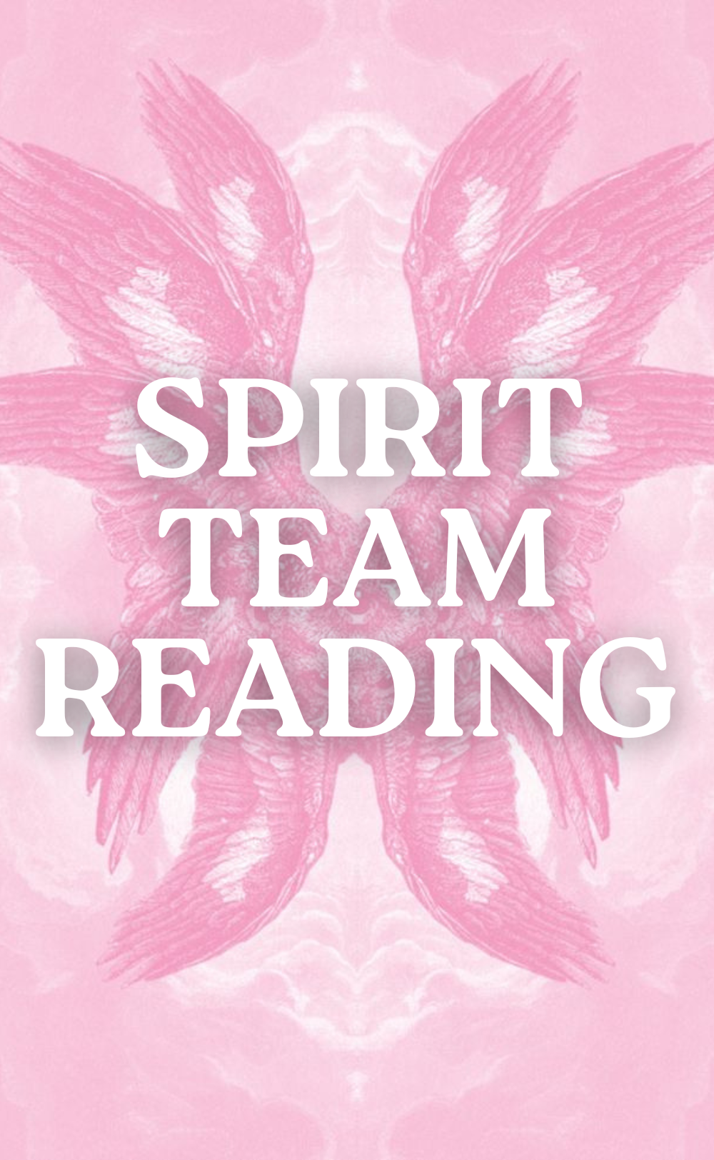 Spirit Team Reading